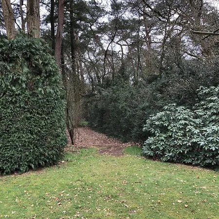 Veluwe Nature - 2-4 Persons Apartment *