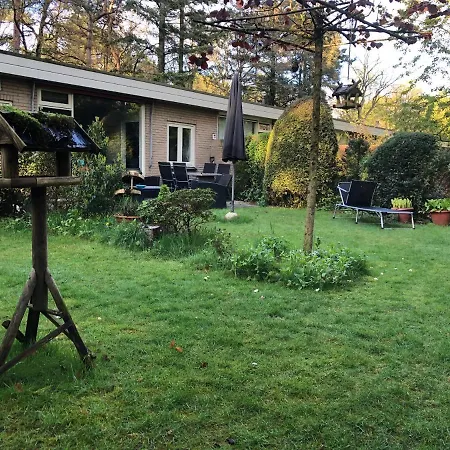 Veluwe Nature - 2-4 Persons *