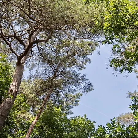 Veluwe Nature - 2-4 Persons