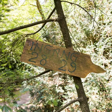 Veluwe Nature - 2-4 Persons *