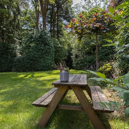 Veluwe Nature - 2-4 Persons אוטרלו