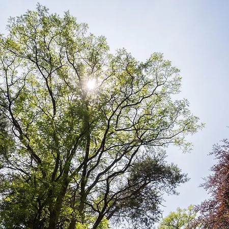 דירה Veluwe Nature - 2-4 Persons *