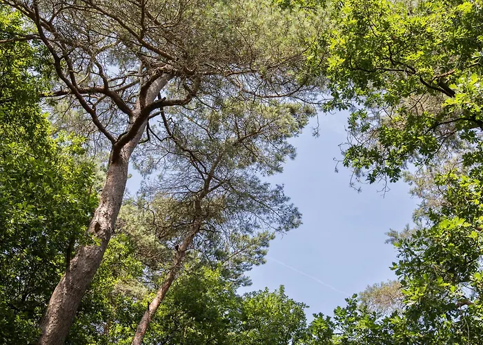 Veluwe Nature - 2-4 Persons