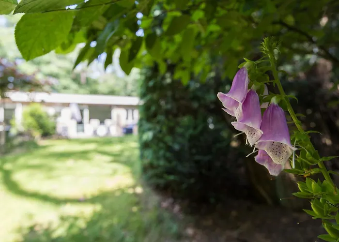 Veluwe Nature - 2-4 Persons Apartment Otterlo