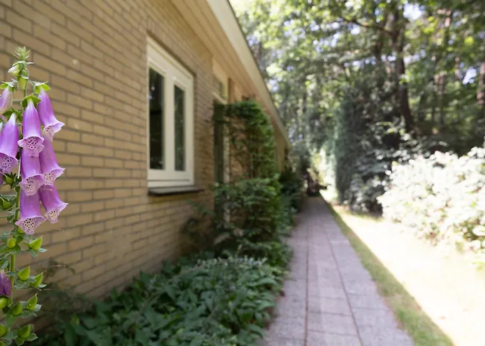 Apartamento Veluwe Nature - 2-4 Persons Otterlo