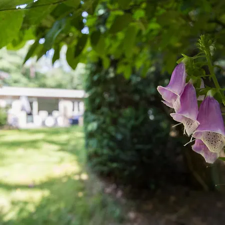 Veluwe Nature - 2-4 Persons Apartman Otterlo