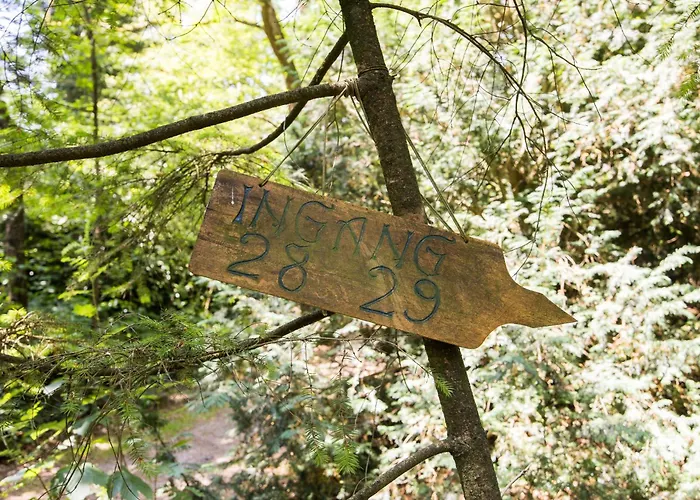 Veluwe Nature - 2-4 Persons *