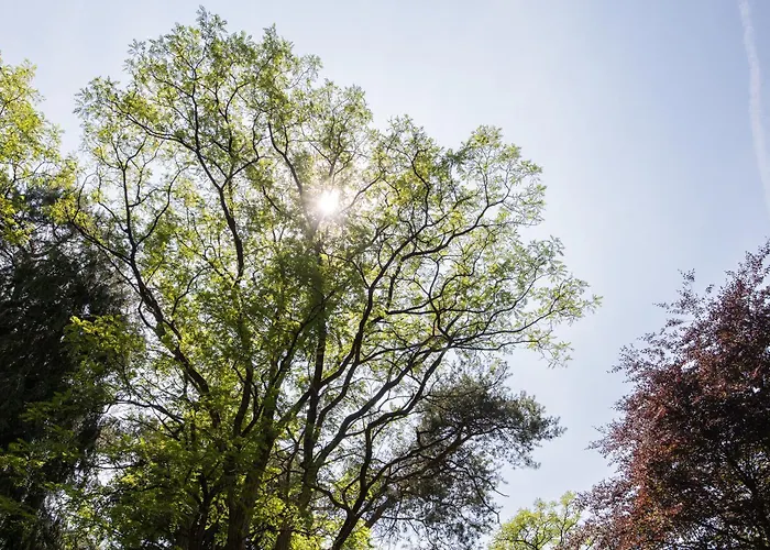 アパート Veluwe Nature - 2-4 Persons *